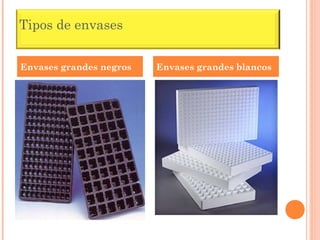 Tipos de envases


Envases grandes negros   Envases grandes blancos
 