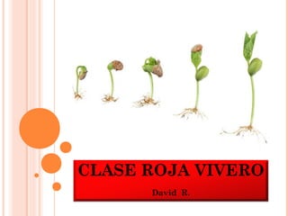 CLASE ROJA VIVERO
      David R.
 