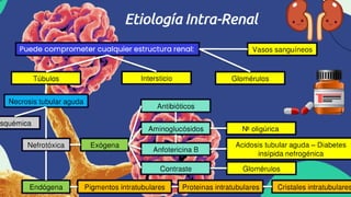 enfermedad renal aguda
