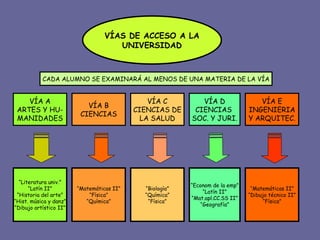 VÍAS DE ACCESO A LA UNIVERSIDAD VÍA A ARTES Y HU- MANIDADES VÍA B CIENCIAS VÍA C CIENCIAS DE LA SALUD VÍA D CIENCIAS  SOC. Y JURI. VÍA E INGENIERIA Y ARQUITEC. “ Literatura univ.” “ Latín II” “ Historia del arte” “ Hist. música y danz” “ Dibujo artístico II” “ Matemáticas II” “ Física” “ Química” “ Biología” “ Química” “ Física” “ Econom de la emp” “ Latín II” “ Mat.apl.CC.SS II” “ Geografía” “ Matemáticas II” “ Dibujo técnico II” “ Física” CADA ALUMNO SE EXAMINARÁ AL MENOS DE UNA MATERIA DE LA VÍA 