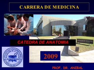 CARRERA DE MEDICINA CATEDRA DE ANATOMIA 2009 PROF. DR. ANIBAL OJEDA 