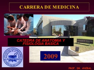 CARRERA DE MEDICINA CATEDRA DE ANATOMIA Y FISIOLOGIA BASICA 2009 PROF. DR. ANIBAL OJEDA 