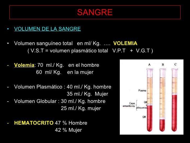 Clases 6 1ºAñO Sangre Clases 6 1ºAñO Sangre