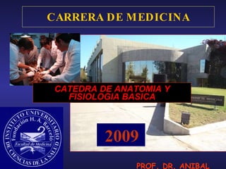 CARRERA DE MEDICINA CATEDRA DE ANATOMIA Y FISIOLOGIA BASICA 2009 PROF. DR. ANIBAL OJEDA 