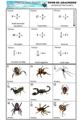 Clases de-arañas