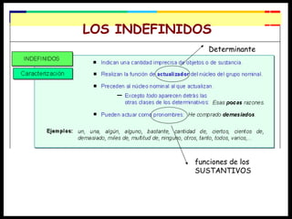 LOS INDEFINIDOS Determinante funciones de los SUSTANTIVOS 