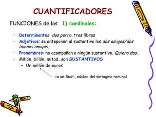 CUANTIFICADORES Determinantes :  dos perro , tres libros Adjetivos : se anteponen al sustantivo los  dos amigos/dos buenos amigos . Pronombres : no acompañan a ningún sustantivo.  Quiero dos . Millón, billón, mitad…son  SUSTANTIVOS Un millón de euros FUNCIONES de los   1) cardinales: =a un Sust., núcleo del sintagma nominal 