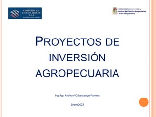 PROYECTOS DE
INVERSIÓN
AGROPECUARIA
Ing. Agr. Anthony Cabascango Romero
Enero 2023
 