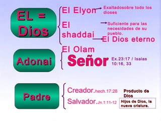 EL =EL =
DiosDios
El Elyon
El
shaddai
El Olam
Exaltadosobre todo los
dioses
Suficiente para las
necesidades de su
pueblo.
El Dios eterno
AdonaiAdonai
PadrePadre
Creador.hech.17:28
Salvador.Jn.1:11-12
Ex.23:17 / Isaias
10:16, 33
Producto deProducto de
DiosDios
Hijos de Dios, laHijos de Dios, la
nueva criatura.nueva criatura.
 