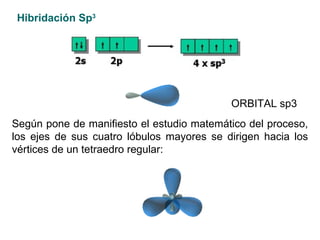 Hibridación Sp 3   ORBITAL sp3   Según pone de manifiesto el estudio matemático del proceso, los ejes de sus cuatro lóbulos mayores se dirigen hacia los vértices de un tetraedro regular: 