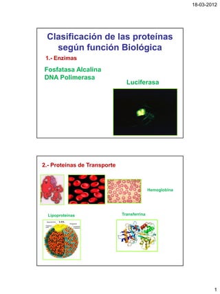 18-03-2012




 Clasificación de las proteínas
   según función Biológica
 1.- Enzimas

Fosfatasa Alcalina
DNA Polimerasa
                                Luciferasa




2.- Proteínas de Transporte



                                             Hemoglobina




  Lipoproteínas               Transferrina




                                                                   1
 