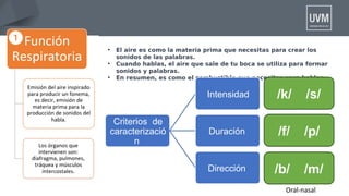 • El aire es como la materia prima que necesitas para crear los
sonidos de las palabras.
• Cuando hablas, el aire que sale de tu boca se utiliza para formar
sonidos y palabras.
• En resumen, es como el combustible que necesitas para hablar.
Criterios de
caracterizació
n
Intensidad
Duración
Dirección
/k/ /s/
/f/ /p/
/b/ /m/
Oral-nasal
 