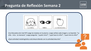 Pregunta de Refexión Semana 2
Una Educadora de nivel NT1 pega las tarjetas en la pizarra. Luego señala cada imagen y va leyendo: “La
niña - mira - la manzana” . Luego pregunta: “¿quién mira?” , “¿qué hace la niña?” , “¿qué mira la niña?” 
¿Qué actvidad metalingüístca está desarrollando con la actvidad descrita?
 