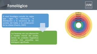 Fonológico
El nivel fonológico estudia las reglas
que rigen la estructura, la
distribución y la secuencia de los
sonidos del habla, y la combinación
de las sílabas (Owens, 2003)
Los fonemas son una abstracción
o modelo mental del sonido,
siendo las unidades lingüístcas
sonoras más pequeñas que
distnguen signifcado.
 