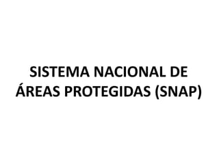 SISTEMA NACIONAL DE ÁREAS PROTEGIDAS (SNAP) 