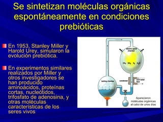 Se sintetizan moléculas orgánicas espontáneamente en condiciones prebióticas En 1953, Stanley Miller y Harold Urey, simularon la evolución prebiótica. En experimentos similares realizados por Miller y otros investigadores se han producido aminoácidos, proteínas cortas, nucleótidos, trifosfato de adenosina, y otras moléculas características de los seres vivos Aparecieron moléculas orgánicas al cabo de unos días 