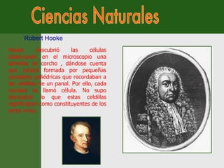 Ciencias Naturales Robert Hooke Hooke descubrió las células observando en el microscopio una laminilla de corcho , dándose cuenta que estaba formada por pequeñas cavidades poliédricas que recordaban a las celdillas de un panal. Por ello, cada cavidad se llamó célula. No supo demostrar lo que estas celdillas significaban como constituyentes de los seres vivos. 