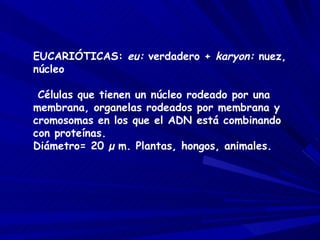 EUCARIÓTICAS:  eu:  verdadero +  karyon:  nuez, núcleo Células que tienen un núcleo rodeado por una membrana, organelas rodeados por membrana y cromosomas en los que el ADN está combinando con proteínas. Diámetro= 20  µ   m. Plantas, hongos, animales. 