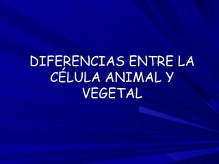 DIFERENCIAS ENTRE LA CÉLULA ANIMAL Y VEGETAL 