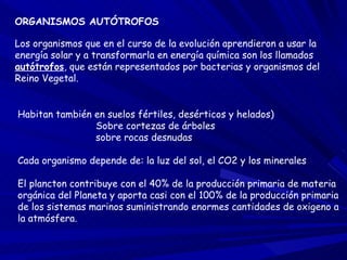 ORGANISMOS AUTÓTROFOS Los organismos que en el curso de la evolución aprendieron a usar la energía solar y a transformarla en energía química son los llamados  autótrofos , que están representados por bacterias y organismos del Reino Vegetal.  Habitan también en suelos fértiles, desérticos y helados)   Sobre cortezas de árboles   sobre rocas desnudas Cada organismo depende de: la luz del sol, el CO2 y los minerales El plancton contribuye con el 40% de la producción primaria de materia orgánica del Planeta y aporta casi con el 100% de la producción primaria de los sistemas marinos suministrando enormes cantidades de oxigeno a la atmósfera. 