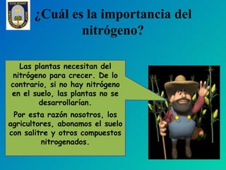 ¿Cuál es la importancia del
               nitrógeno?

   Las plantas necesitan del
 nitrógeno para crecer. De lo
contrari...