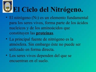 El Ciclo del Nitrógeno.
• El nitrógeno (N2) es un elemento fundamental
  para los seres vivos, forma parte de los ácidos
 ...