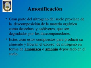 Nitrificación
• Es la transformación del amoniaco y del
  amonio en nitrato.
• Esto se realiza en dos procesos separados y...