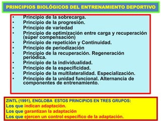PRINCIPIOS BIOLÓGICOS DEL ENTRENAMIENTO DEPORTIVO
• Principio de la sobrecarga.
• Principio de la progresión.
• Principio de variedad
• Principio de optimización entre carga y recuperación
(súper compensación)
• Principio de repetición y Continuidad.
• Principio de periodización
• Principio de la recuperación. Regeneración
periódica.
• Principio de la individualidad.
• Principio de la especificidad.
• Principio de la multilateralidad. Especialización.
• Principio de la unidad funcional. Alternancia de
componentes de entrenamiento.
ZINTL (1991), ENGLOBA ESTOS PRINCIPIOS EN TRES GRUPOS:
Los que indican adaptación.
Los que garantizan la adaptación
Los que ejercen un control específico de la adaptación.
 
