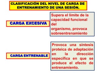 CLASIFICACIÓN DEL NIVEL DE CARGA DE
ENTRENAMIENTO DE UNA SESIÓN.
CARGA EXCESIVA
CARGA ENTRENABLE
Supera el límite de la
capacidad funcional
del
organismo, provoca
sobreentrenamiento
Provoca una síntesis
proteica de adaptación
en la dirección
específica en que se
produce el efecto de
entrenamiento.
 