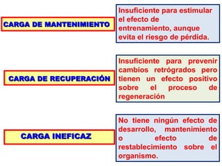 CARGA DE MANTENIMIENTO
CARGA DE RECUPERACIÓN
CARGA INEFICAZ
Insuficiente para estimular
el efecto de
entrenamiento, aunque
evita el riesgo de pérdida.
Insuficiente para prevenir
cambios retrógrados pero
tienen un efecto positivo
sobre el proceso de
regeneración
No tiene ningún efecto de
desarrollo, mantenimiento
o efecto de
restablecimiento sobre el
organismo.
 