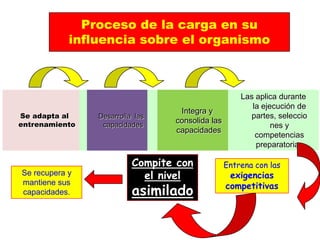 Proceso de la carga en su
influencia sobre el organismo
Se adapta al
entrenamiento
Desarrolla las
capacidades
Integra y
consolida las
capacidades
Las aplica durante
la ejecución de
partes, seleccio
nes y
competencias
preparatorias
Entrena con las
exigencias
competitivas
Compite con
el nivel
asimilado
Se recupera y
mantiene sus
capacidades.
 