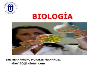 BIOLOGÍA
Ing. BERNARDINO MORALES FERNANDEZ
maber180@hotmail.com
1
 