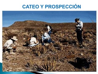 CATEO Y PROSPECCIÓN
 