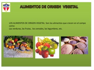 LOS ALIMENTOS DE ORIGEN VEGETAL: Son los alimentos que crecen en el campo
como:
Las verduras, las frutas, los cereales, las legumbres, etc.
 