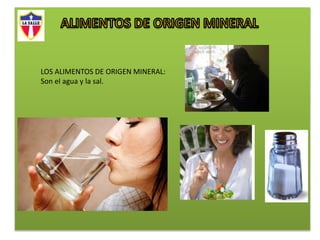 LOS ALIMENTOS DE ORIGEN MINERAL:
Son el agua y la sal.
 