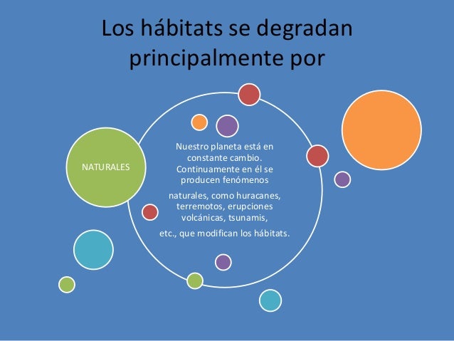 Clases de amenazas de los habitad