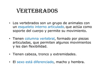 Vertebrados
• Los vertebrados son un grupo de animales con
  un esqueleto interno articulado, que actúa como
  soporte del cuerpo y permite su movimiento.

• Tienen columna vertebral, formado por piezas
  articuladas, que permiten algunos movimientos
  y les dan flexibilidad.

• Tienen cabeza, tronco y extremidades.

• El sexo está diferenciado, macho y hembra.
 