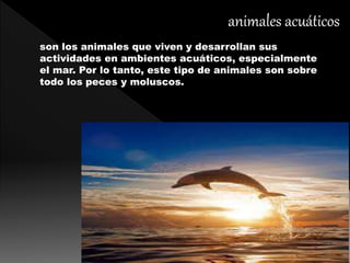 son los animales que viven y desarrollan sus
actividades en ambientes acuáticos, especialmente
el mar. Por lo tanto, este tipo de animales son sobre
todo los peces y moluscos.
 