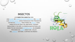 INSECTOS 
LOS INSECTOS (INSECTA) SON 
UNA CLASE DE ANIMALES INVERTEBRADOS DEL FILO DE 
LOS ARTRÓPODOS, CARACTERIZADOS POR PRESENTAR 
UN PAR DEANTENAS, TRES PARES DE PATAS Y DOS 
PARES DE ALAS (QUE, NO OBSTANTE, PUEDEN 
REDUCIRSE O FALTAR). LA CIENCIA QUE ESTUDIA LOS 
INSECTOS SE DENOMINA ENTOMOLOGÍA. SU NOMBRE 
PROVIENE DEL LATÍN INSECTUM , CALCO 
DEL GRIEGO ἜΝΤΟΜΑ, 'CORTADO EN MEDIO'.1 
 
