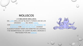 MOLUSCOS 
LOS MOLUSCOS (MOLLUSCA, 
DEL LATÍN MOLLUSCUM "BLANDO") FORMAN UNO DE LOS 
GRANDES FILOS DEL REINO ANIMAL. 
SON INVERTEBRADOSPROTÓSTOMOS CELOMADOS, TRI 
BLÁSTICOS CON SIMETRÍA BILATERAL (AUNQUE 
ALGUNOS PUEDEN TENER UNA ASIMETRÍA SECUNDARIA) 
Y NO SEGMENTADOS, DE CUERPO BLANDO, DESNUDO O 
PROTEGIDO POR UNA CONCHA. 
 