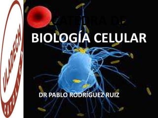 CATEDRA DE
BIOLOGÍA CELULAR


 DR PABLO RODRÍGUEZ RUIZ
 
