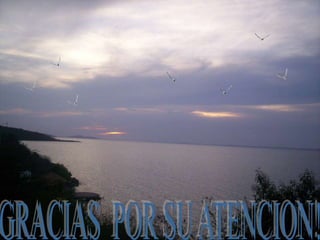 CLASES DE CRIMINALISTICA DOCTORADO.pptx