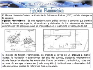 El Manual Único de Cadena de Custodia de Evidencias Físicas (2017), señala al respecto
lo siguiente:
Fijación Planimétrica: Es una representación gráfica (escala o acotado) que permite
ilustrar la ubicación espacial, dimensiones y distancias de los elementos de interés
criminalístico y la posición en que se encontraban en el lugar de la investigación (p.30)
El método de fijación Planimétrico, es creando a través de un croquis a mano
alzada, la ubicación y extensiones del sitio del suceso, dibujando exactamente
donde fueron localizadas las evidencias físicas de interés criminalística, rutas de
acceso, de escape, orientación (norte magnético), inclinaciones o desniveles del
sitio de suceso, puntos de referencia fijos, entre otros.
 