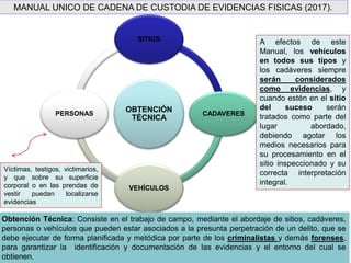 MANUAL UNICO DE CADENA DE CUSTODIA DE EVIDENCIAS FISICAS (2017).
OBTENCIÓN
TÉCNICA
SITIOS
CADAVERES
VEHÍCULOS
PERSONAS
Obtención Técnica: Consiste en el trabajo de campo, mediante el abordaje de sitios, cadáveres,
personas o vehículos que pueden estar asociados a la presunta perpetración de un delito, que se
debe ejecutar de forma planificada y metódica por parte de los criminalistas y demás forenses,
para garantizar la identificación y documentación de las evidencias y el entorno del cual se
obtienen.
A efectos de este
Manual, los vehículos
en todos sus tipos y
los cadáveres siempre
serán considerados
como evidencias, y
cuando estén en el sitio
del suceso serán
tratados como parte del
lugar abordado,
debiendo agotar los
medios necesarios para
su procesamiento en el
sitio inspeccionado y su
correcta interpretación
integral.
Víctimas, testigos, victimarios,
y que sobre su superficie
corporal o en las prendas de
vestir puedan localizarse
evidencias
 