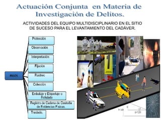 ACTIVIDADES DEL EQUIPO MULTIDISCIPLINARIO EN EL SITIO
DE SUCESO PARA EL LEVANTAMIENTO DEL CADÁVER.
 