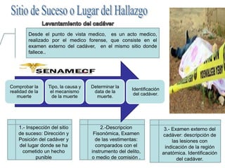 Desde el punto de vista medico, es un acto medico,
realizado por el medico forense, que consiste en el
examen externo del cadáver, en el mismo sitio donde
fallece..
1.- Inspección del sitio
de suceso: Dirección y
Posición del cadáver y
del lugar donde se ha
cometido un hecho
punible
2.-Descripcion
Fisonómica, Examen
de las vestimentas:
comparados con el
instrumento del delito,
o medio de comisión .
3.- Examen externo del
cadáver: descripción de
las lesiones con
indicación de la región
anatómica. Identificación
del cadáver.
Comprobar la
realidad de la
muerte
Tipo, la causa y
el mecanismo
de la muerte
Determinar la
data de la
muerte.
Identificación
del cadáver.
 
