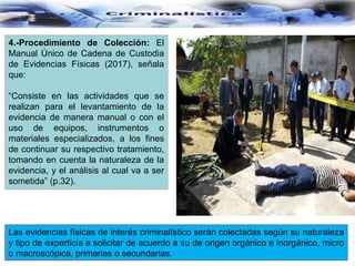 4.-Procedimiento de Colección: El
Manual Único de Cadena de Custodia
de Evidencias Físicas (2017), señala
que:
“Consiste en las actividades que se
realizan para el levantamiento de la
evidencia de manera manual o con el
uso de equipos, instrumentos o
materiales especializados, a los fines
de continuar su respectivo tratamiento,
tomando en cuenta la naturaleza de la
evidencia, y el análisis al cual va a ser
sometida” (p.32).
Las evidencias físicas de interés criminalístico serán colectadas según su naturaleza
y tipo de experticia a solicitar de acuerdo a su de origen orgánico e inorgánico, micro
o macroscópica, primarias o secundarias.
 