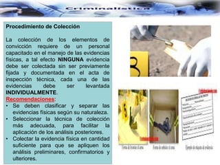 Procedimiento de Colección
La colección de los elementos de
convicción requiere de un personal
capacitado en el manejo de las evidencias
físicas, a tal efecto NINGUNA evidencia
debe ser colectada sin ser previamente
fijada y documentada en el acta de
inspección técnica, cada una de las
evidencias debe ser levantada
INDIVIDUALMENTE.
Recomendaciones:
• Se deben clasificar y separar las
evidencias físicas según su naturaleza.
• Seleccionar la técnica de colección
más adecuada, para facilitar la
aplicación de los análisis posteriores.
• Colectar la evidencia física en cantidad
suficiente para que se apliquen los
análisis preliminares, confirmatorios y
ulteriores.
 