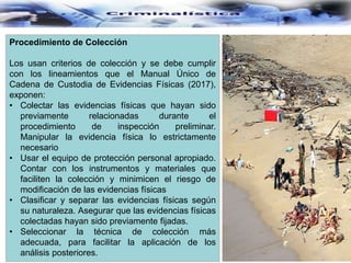 Procedimiento de Colección
Los usan criterios de colección y se debe cumplir
con los lineamientos que el Manual Único de
Cadena de Custodia de Evidencias Físicas (2017),
exponen:
• Colectar las evidencias físicas que hayan sido
previamente relacionadas durante el
procedimiento de inspección preliminar.
Manipular la evidencia física lo estrictamente
necesario
• Usar el equipo de protección personal apropiado.
Contar con los instrumentos y materiales que
faciliten la colección y minimicen el riesgo de
modificación de las evidencias físicas
• Clasificar y separar las evidencias físicas según
su naturaleza. Asegurar que las evidencias físicas
colectadas hayan sido previamente fijadas.
• Seleccionar la técnica de colección más
adecuada, para facilitar la aplicación de los
análisis posteriores.
 
