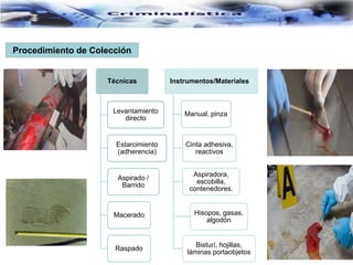 Procedimiento de Colección
Técnicas
Levantamiento
directo
Estarcimiento
(adherencia)
Aspirado /
Barrido
Macerado
Raspado
Instrumentos/Materiales /
Manual, pinza
Cinta adhesiva,
reactivos
Aspiradora,
escobilla,
contenedores.
Hisopos, gasas,
algodón
Bisturí, hojillas,
láminas portaobjetos
 